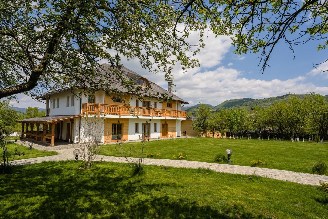 Pensiunea Coronita Viseu de Sus Exterior photo
